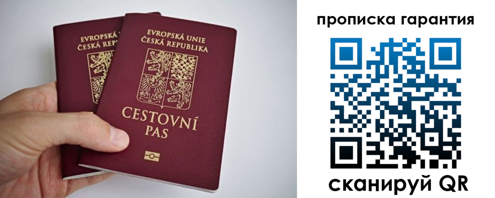 прописка в Жукове
